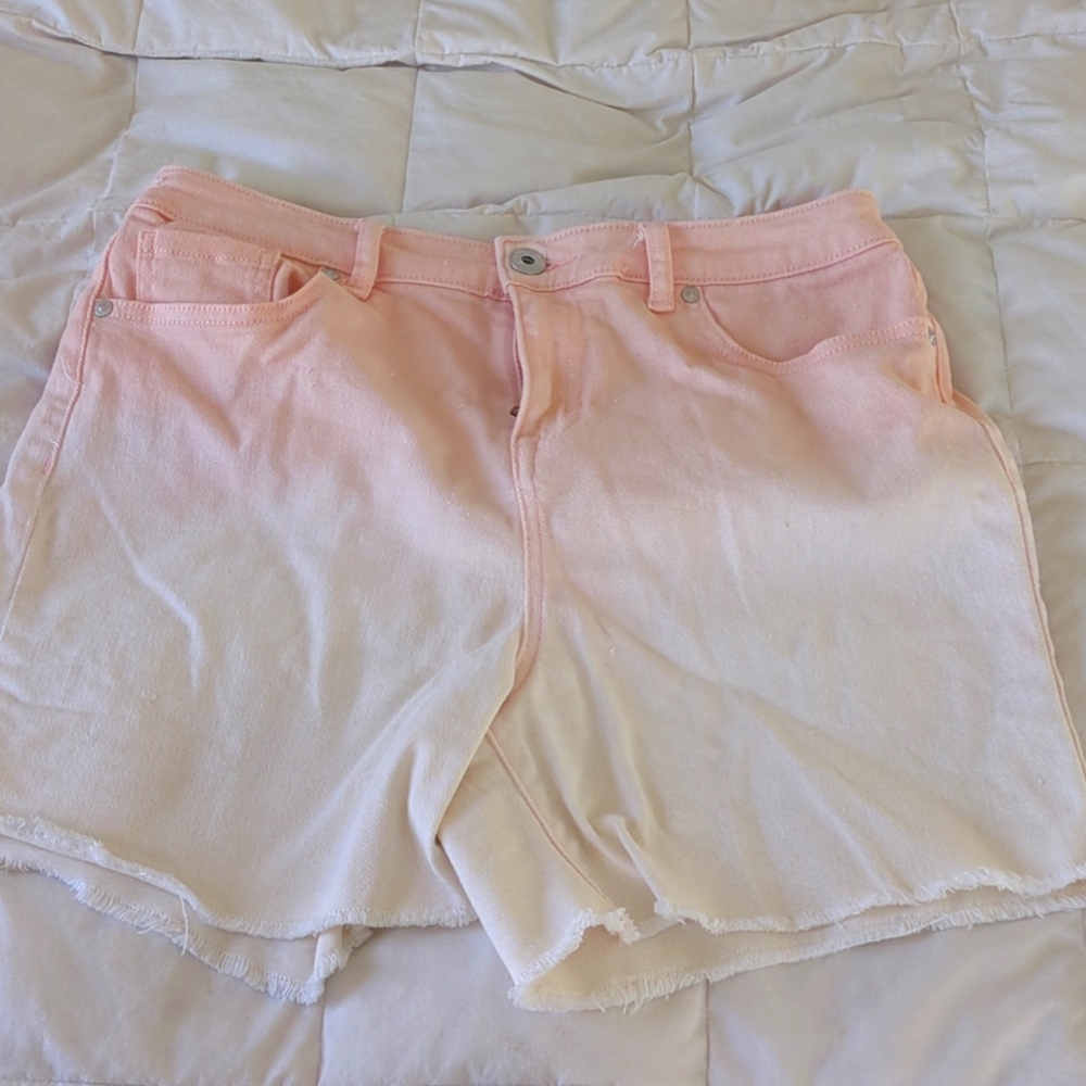 Style&Co Shorts